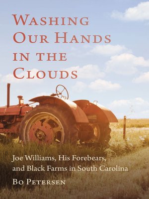 cover image of Washing Our Hands in the Clouds